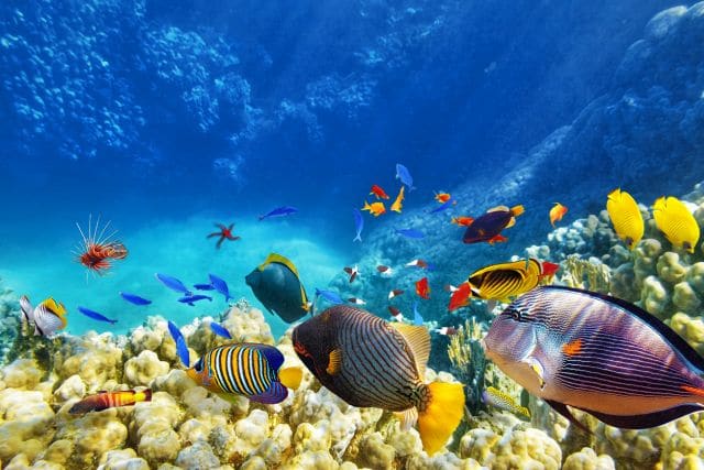 Sea Idioms - Tengeres angol idiómák (szókincs) 1