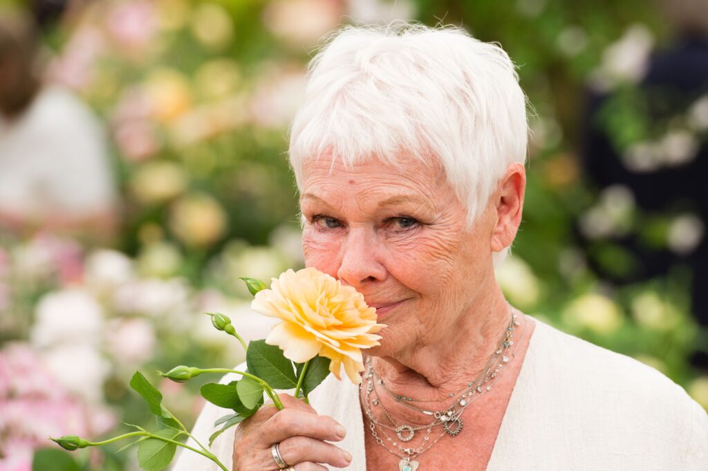 Dame Judi Dench és a Chelsea Flower Show– szókincs 1