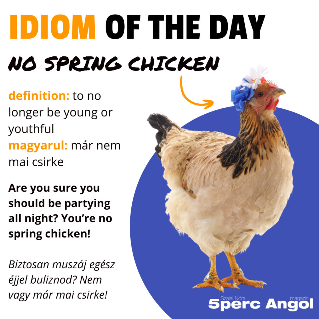 Spring Idioms - Tavaszi idiómák 1