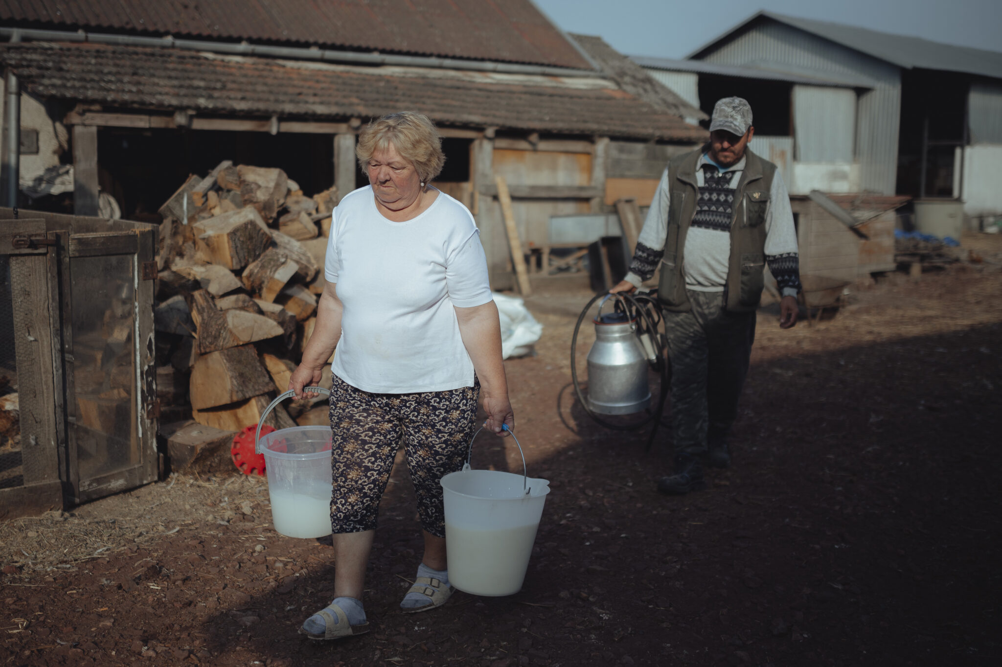 The fresh milk that we are missing every day - Képes riport Nagytárkányból 2