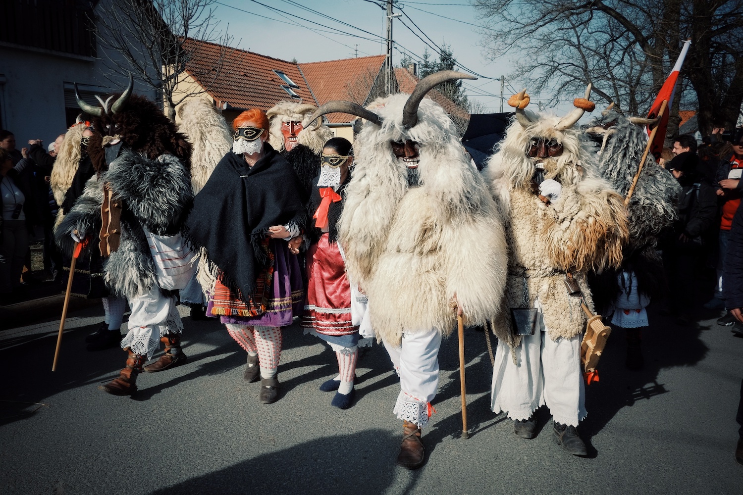 HUNGARY: Farsang and the Busó Festival of Mohács 2