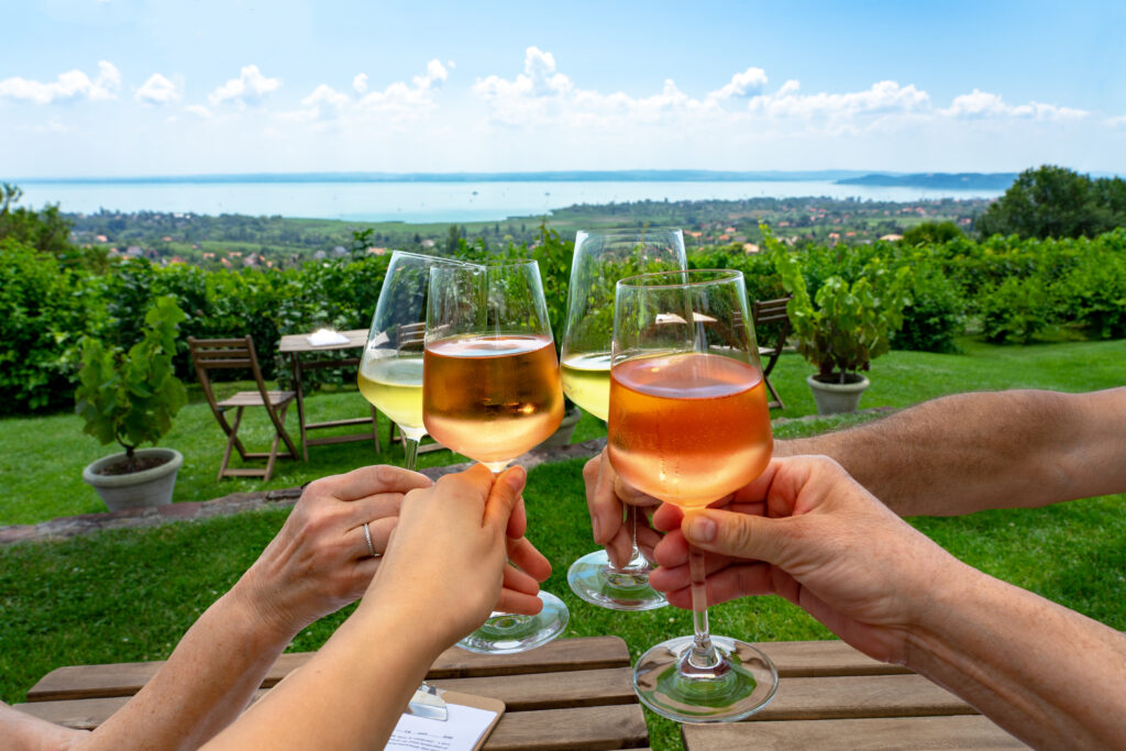 MAGYARORSZÁG: The vibrant palette of Hungary's grape varieties 1