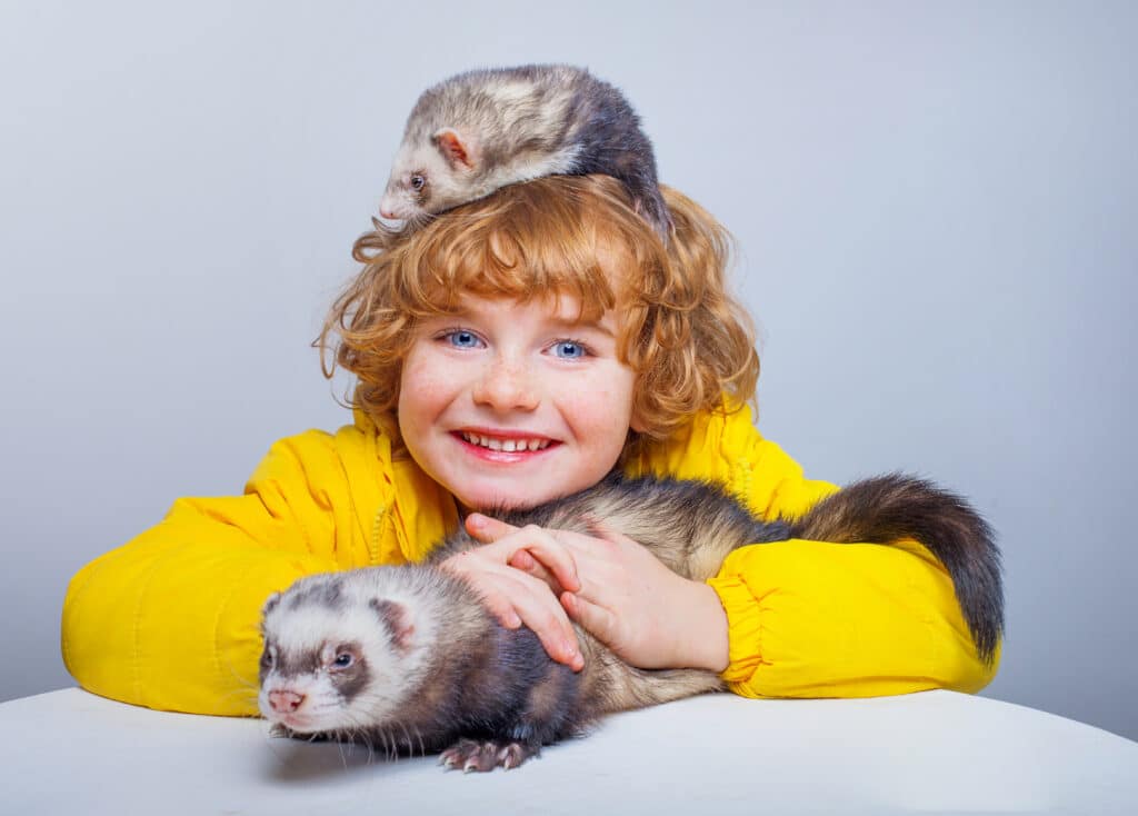 KÉPLEÍRÁS: Keeping pets - Kisállattartás (B1/B2) 1