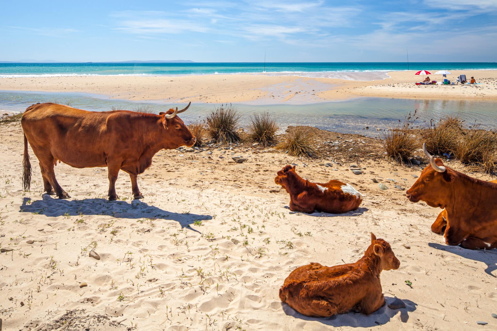TRAVEL: Európa legjobb strandjai 1