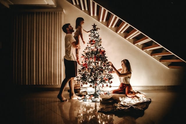 Érdekességek a karácsonyfáról: Christmas tree facts 1 karácsonyfa