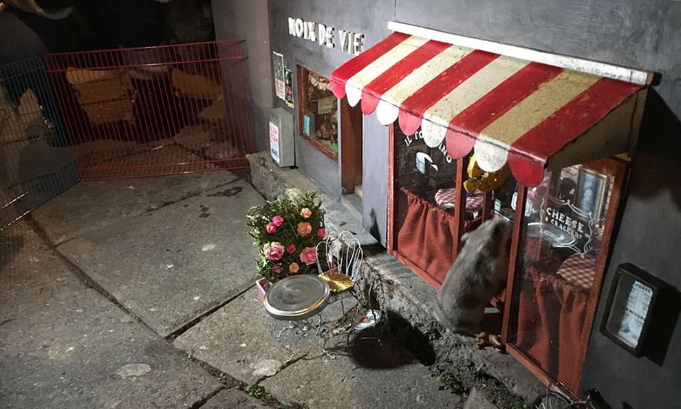 Anonymouse Are Opening Tiny Shops For Mice In Sweden 1