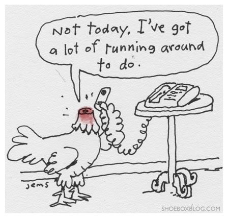 FUNNY SAYINGS: like a headless chicken 2