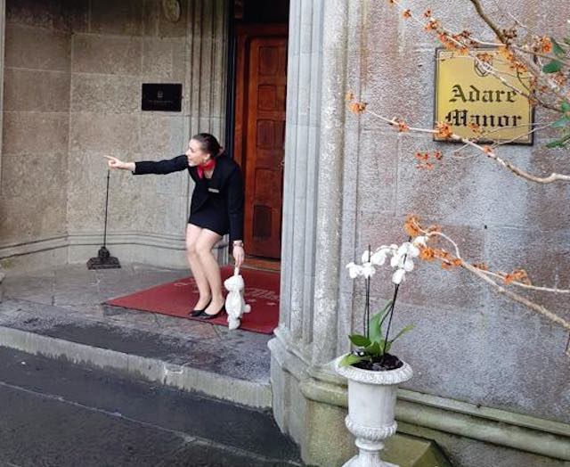 Hotel giving VIP service to lost bunny 1