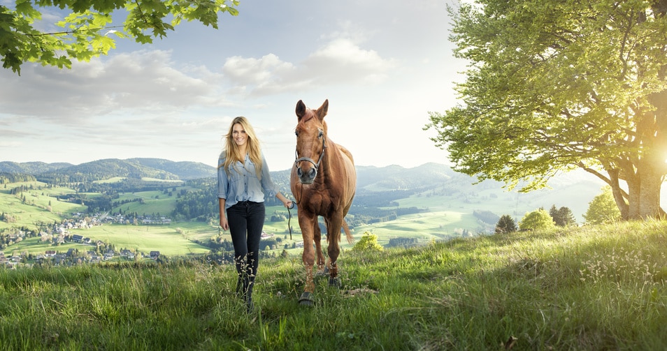 Horses Can Understand Human Actions Better Than Previously Thought 1