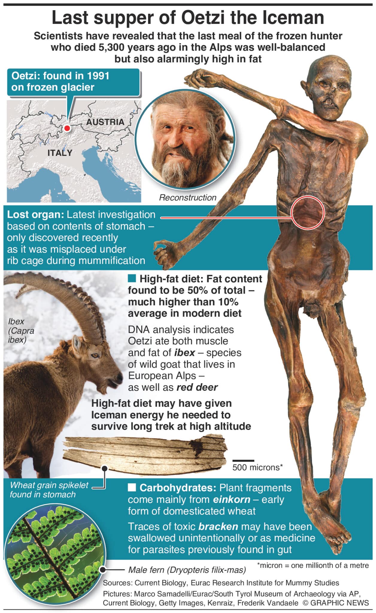 Mit volt Ötzi, az 5300 éve múmia utolsó vacsorája? 1
