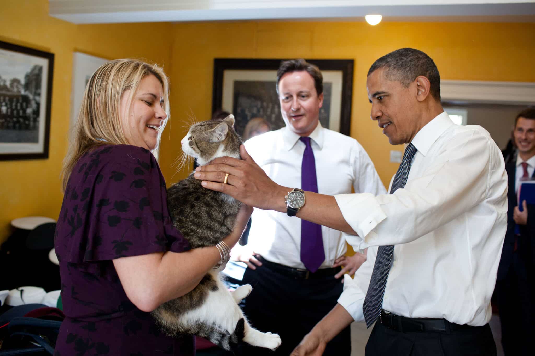 Larry and Fergus. Famous British Cats 1