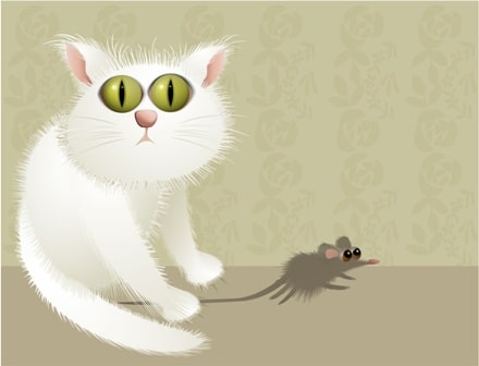 Cat Idioms - Macskás kifejezések 1