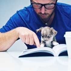 All about dogs - egy kis kutyás szókincs 11