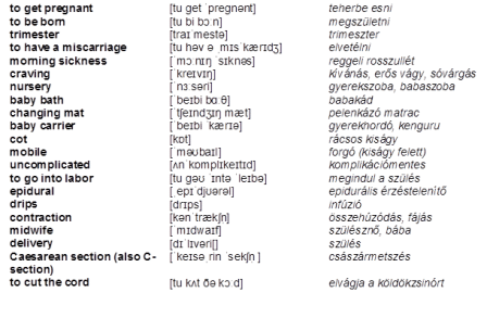 How to talk about pregnancy and babies in English? 2