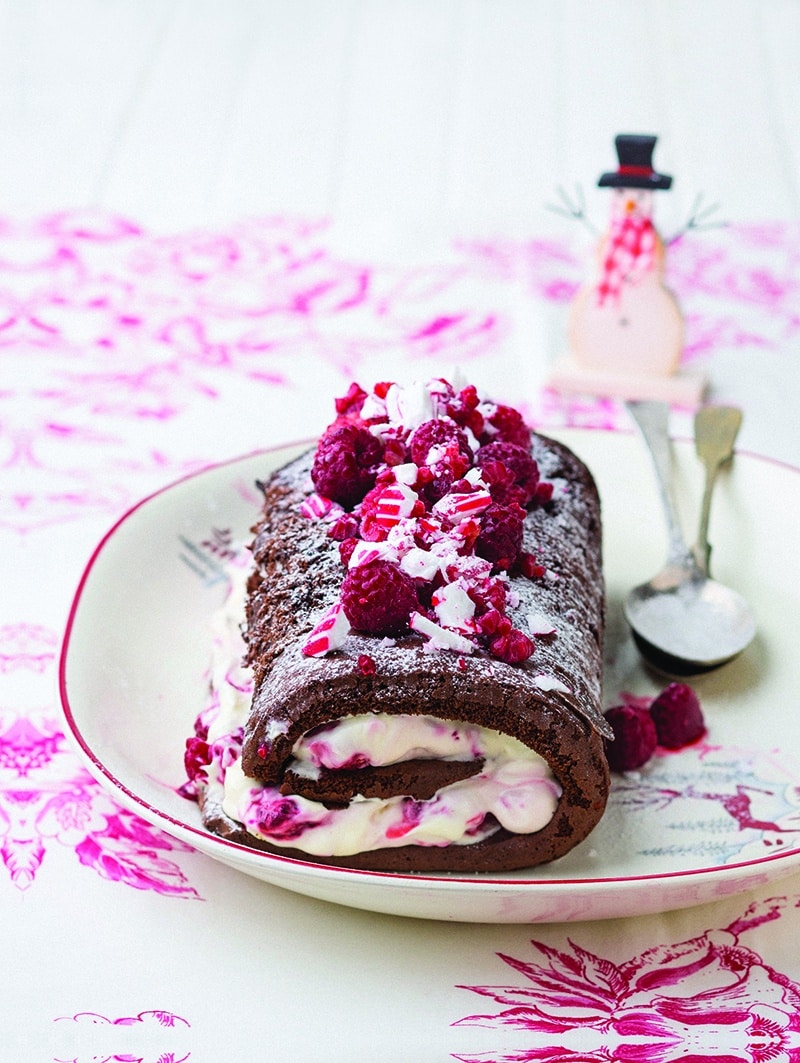 Chocolate velvet roulade 1