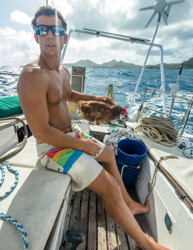 Monique, the hen who is sailing around the world 1