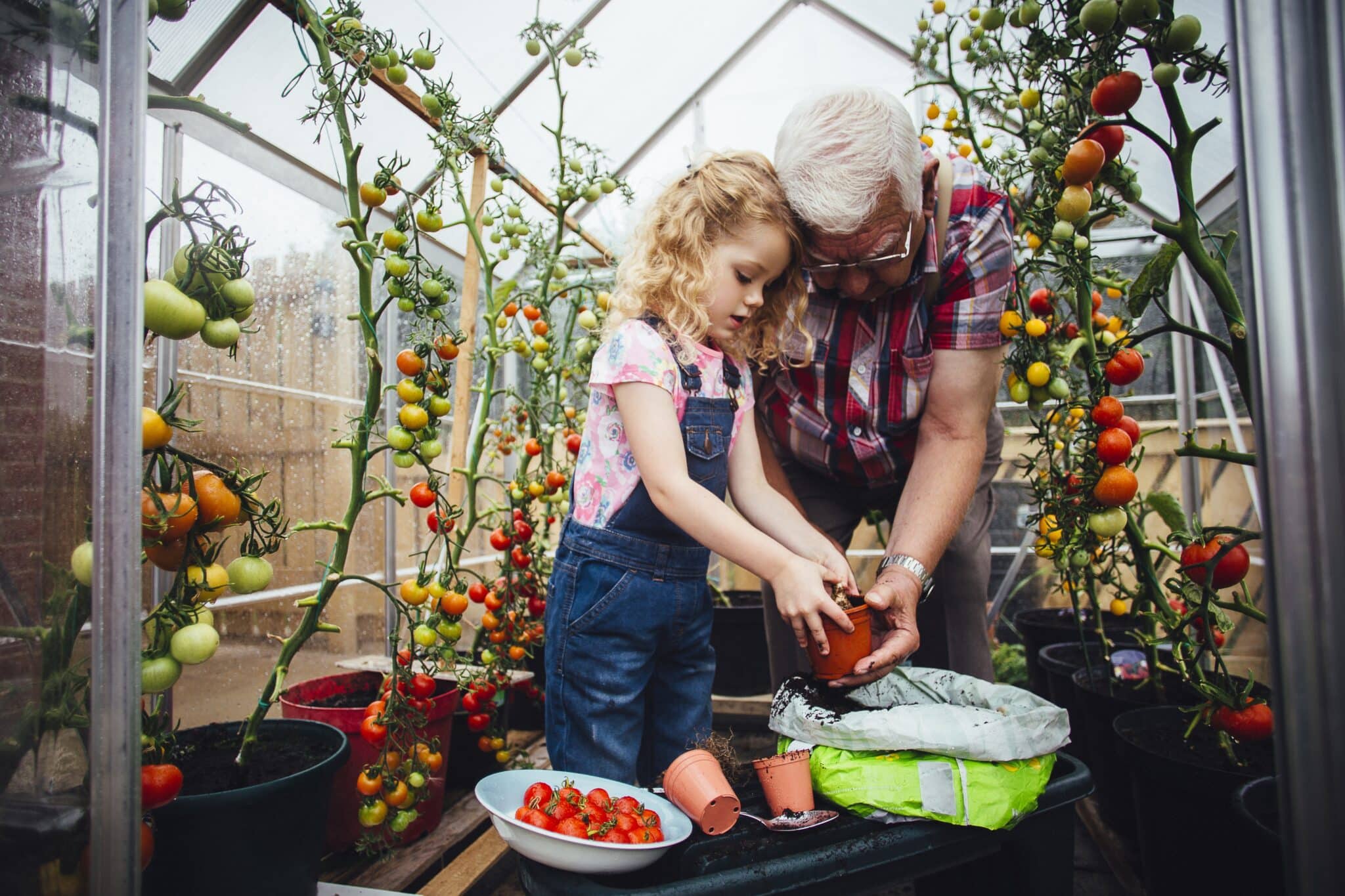Képleírás a nyelvvizsgán - Gardening 1