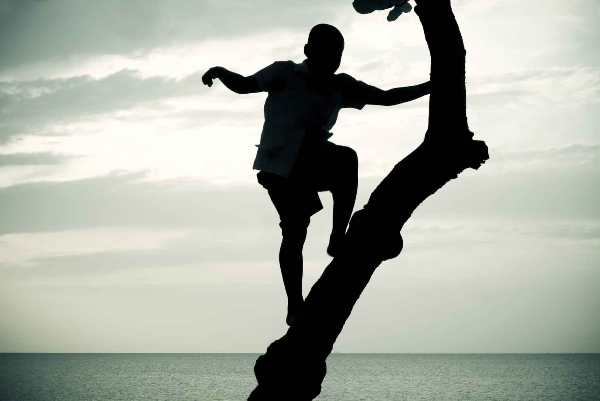 If You Want to Improve Your Memory, Try Climbing a Tree 1