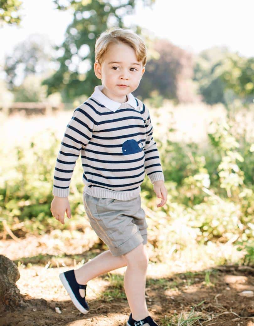 Prince George's most astounding powers and privileges 1