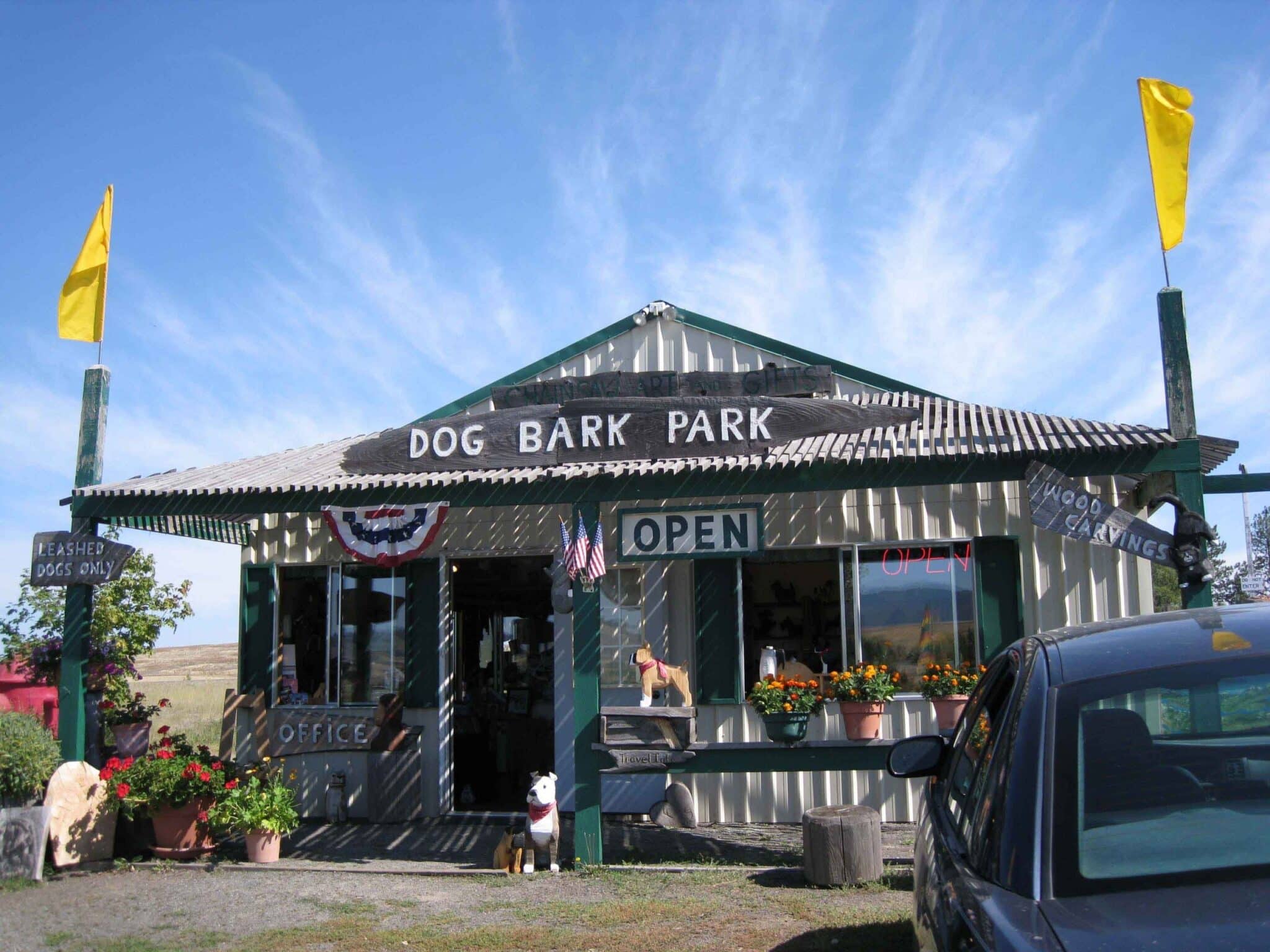 Gone to the dogs… 3