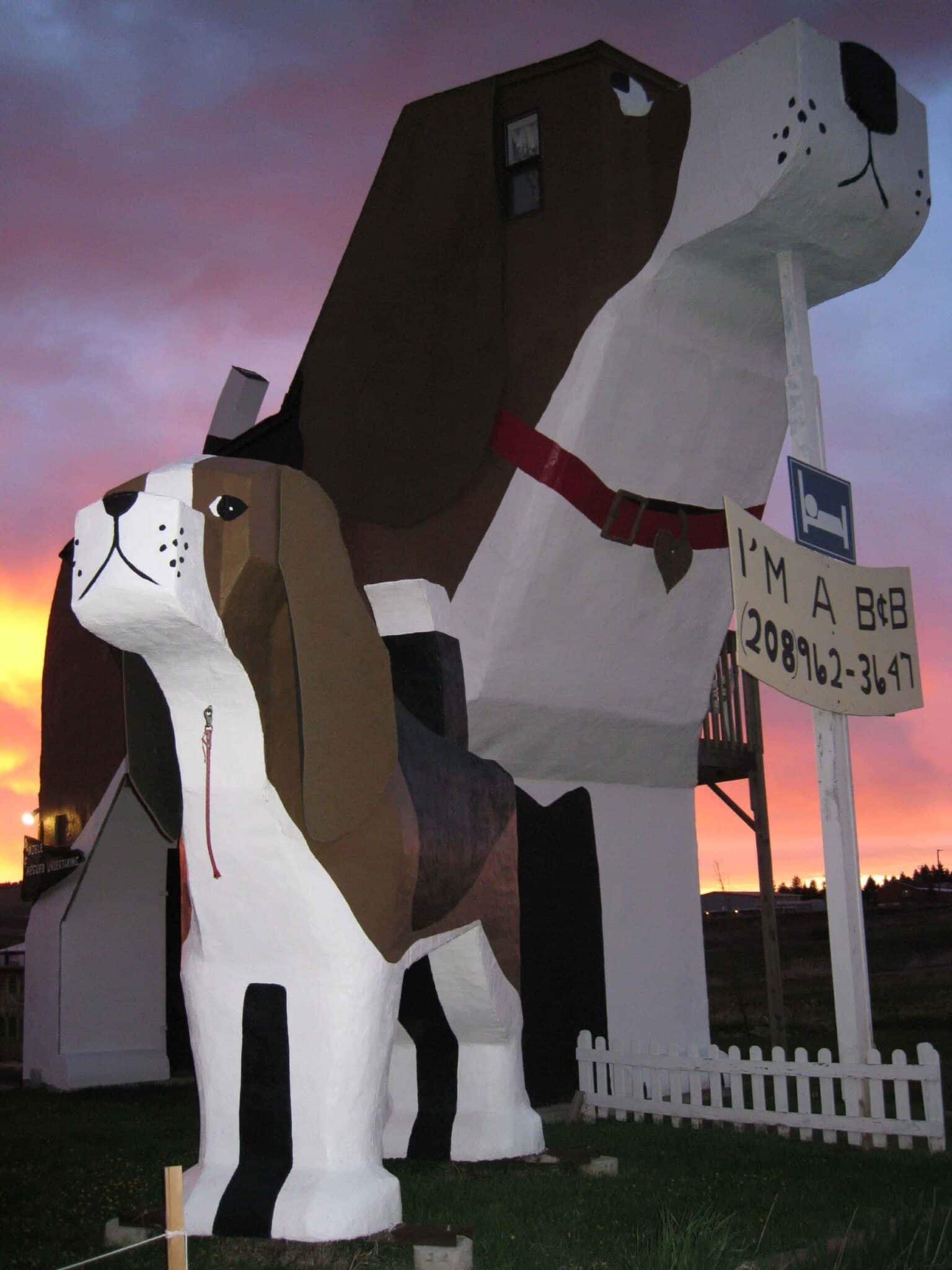 Gone to the dogs… 1