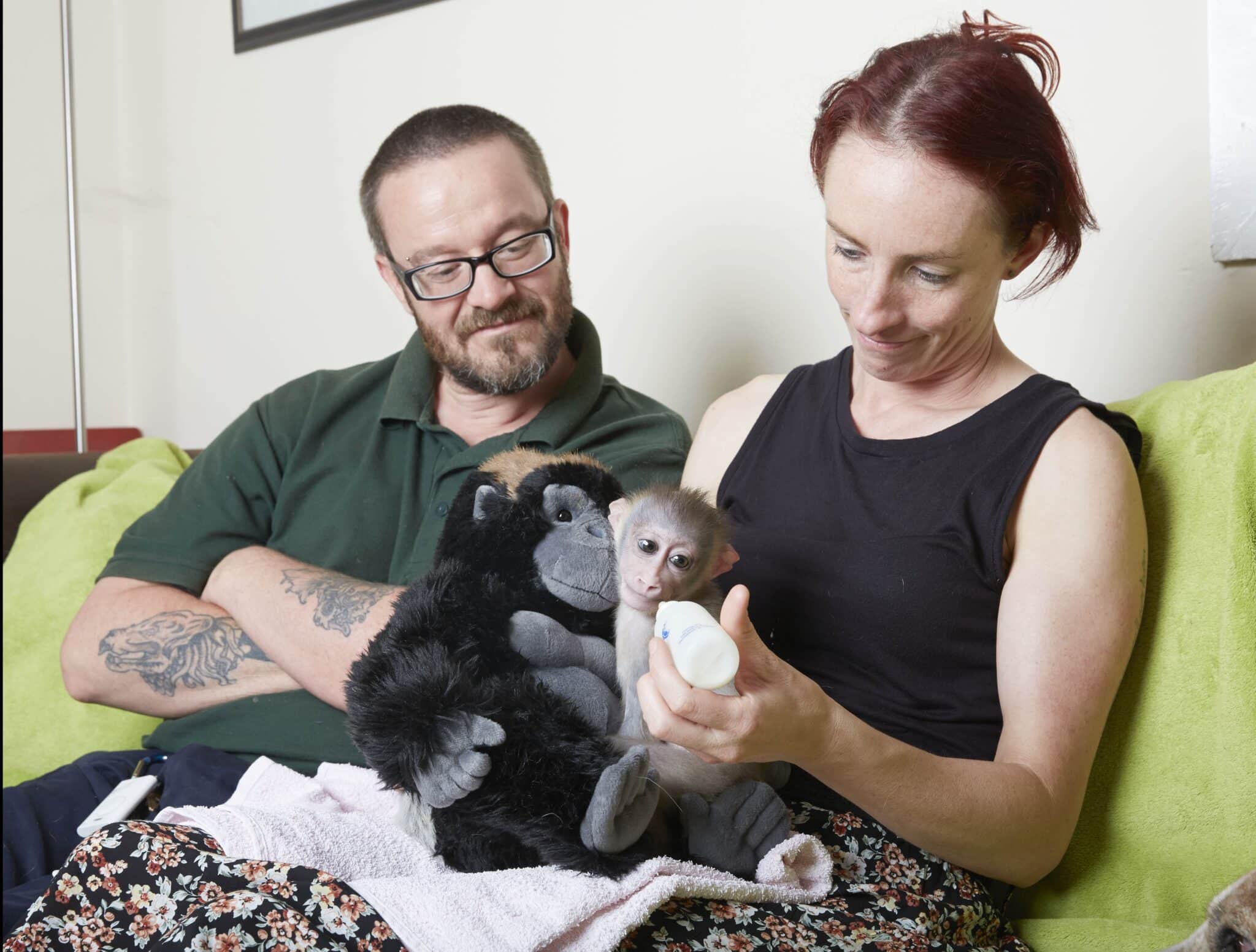 Keeper Becomes 'Mum' To Adorable Baby Monkey 1