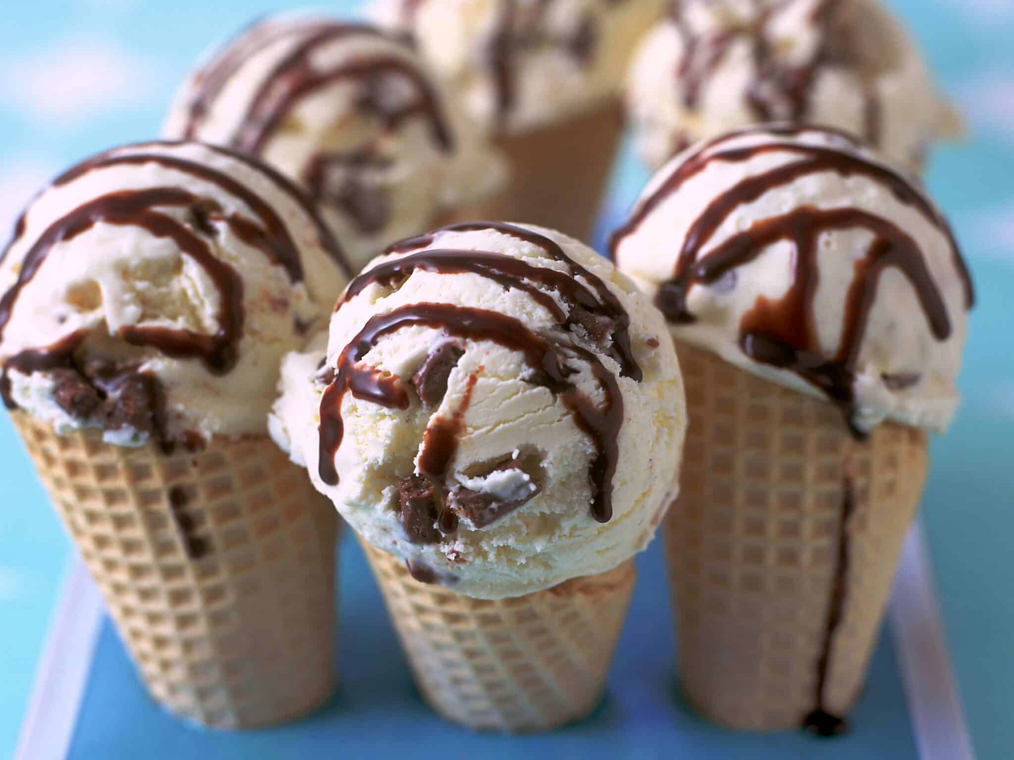 Chocolate Mint Chip Ice Cream 1