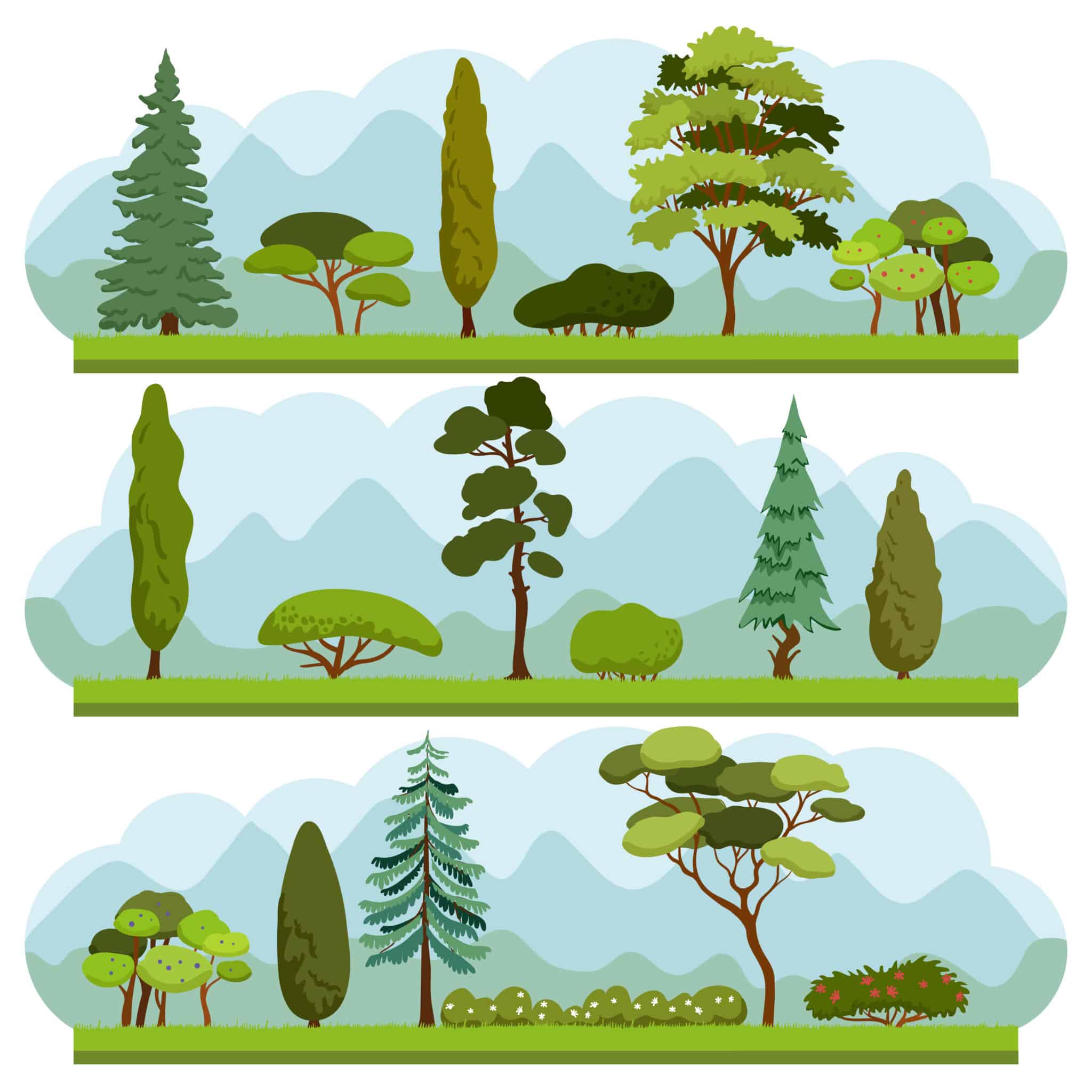 Trees – Vocabulary builder 1