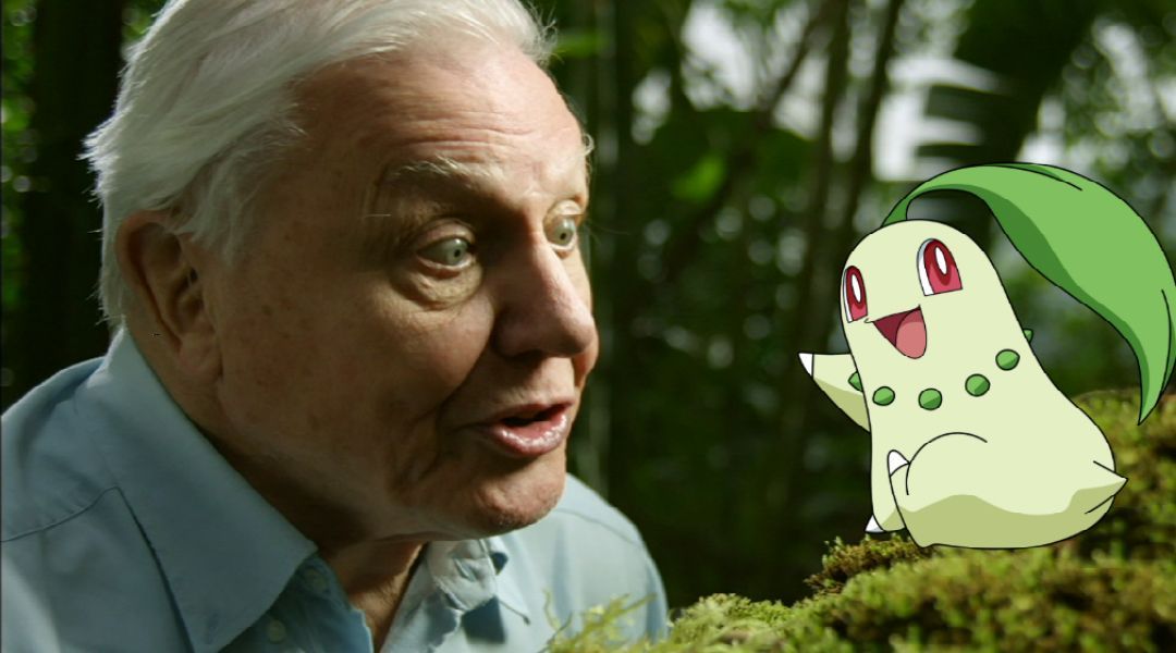 David Attenborough on Pokémon Go 1