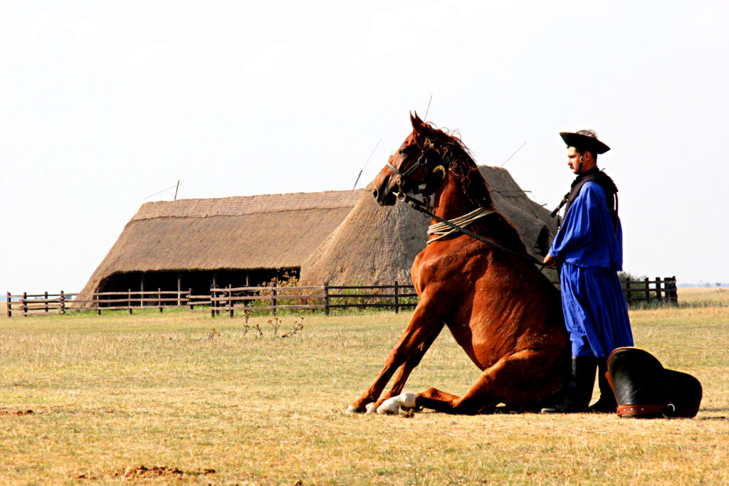 hortobagy
